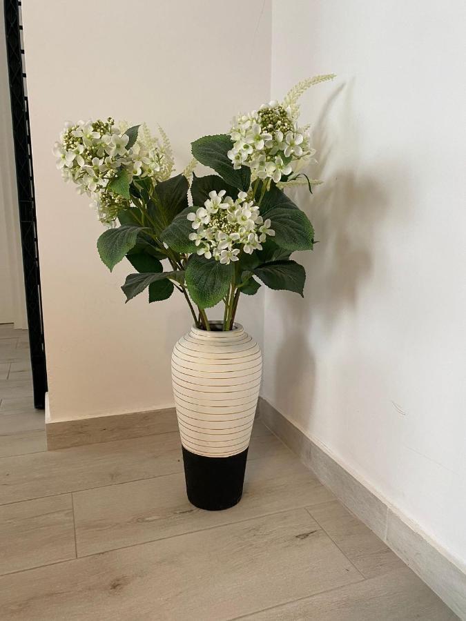 Andi Residence นาโวดาริ ภายนอก รูปภาพ